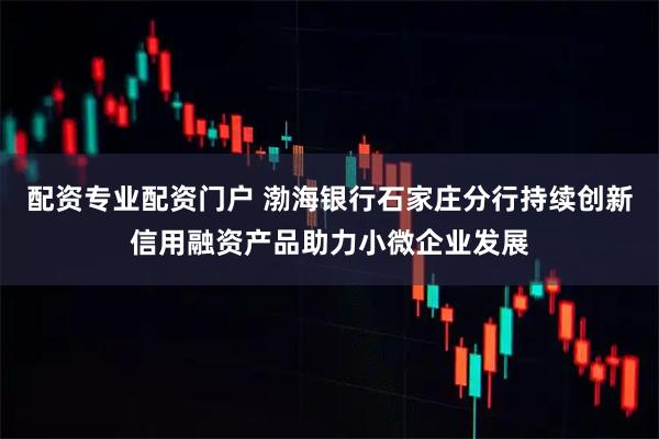 配资专业配资门户 渤海银行石家庄分行持续创新信用融资产品助力小微企业发展