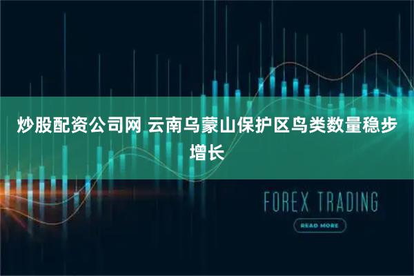 炒股配资公司网 云南乌蒙山保护区鸟类数量稳步增长